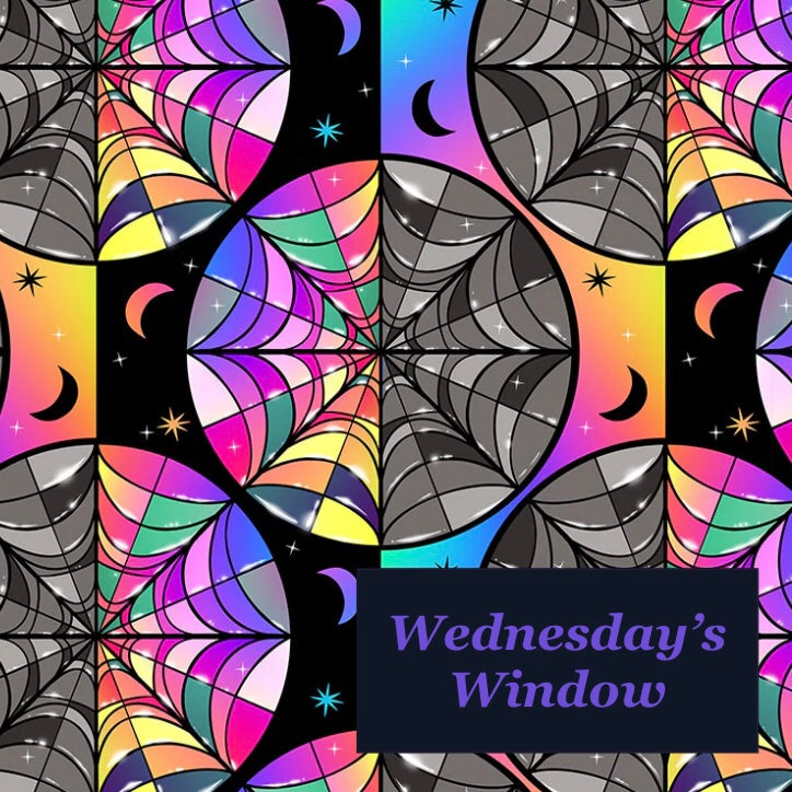 Wednesday's Window Zipped Notions Hook DPN Pouch/Case